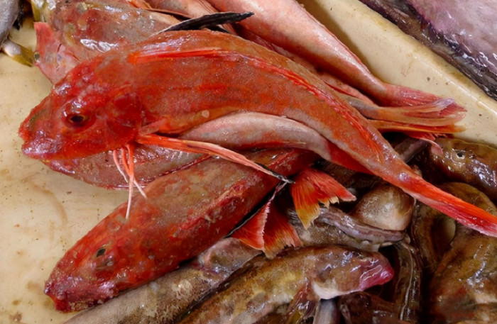 4 loại cá này ít bán trong chợ, nếu thấy nên mua ngay vì sạch lại bổ dưỡng