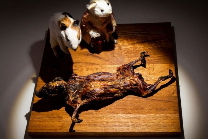 Bảo tàng thực phẩm kinh dị, thách thức giác quan những người can đảm nhất