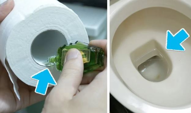 Mẹo cực hay: Đặt lọ dầu gió trong nhà vệ sinh, sau 1 đêm công dụng cực kỳ tuyệt vời, ai cũng bất ngờ