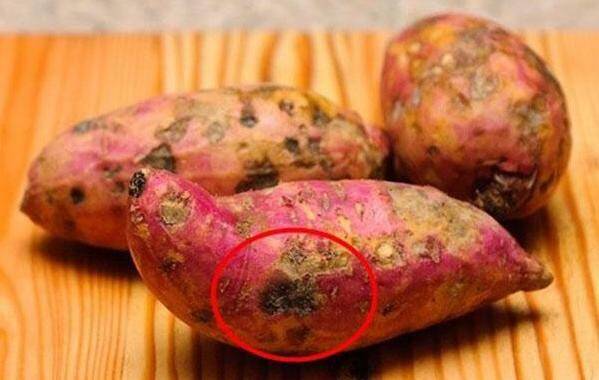 7 th&#x1EF1;c ph&#x1EA9;m h&#xF3;a k&#x1ECB;ch &#x111;&#x1ED9;c &#x1EA9;n n&#x1EA5;p trong h&#xE0;ng tri&#x1EC7;u c&#x103;n b&#x1EBF;p Vi&#x1EC7;t v&#xEC; l&#xFD; do n&#xE0;y