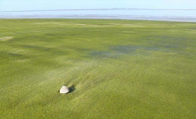 12 bãi biển độc lạ trên thế giới khiến ai cũng phải thốt lên bất ngờ