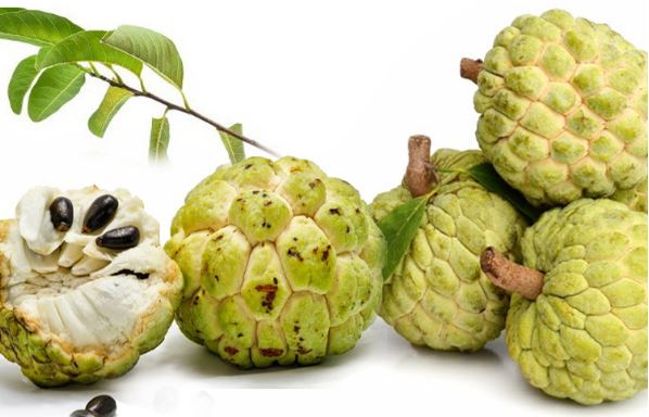 Ăn na vô cùng tốt cho sức khỏe?