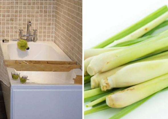 Đặt bó sả trong nhà vệ sinh ai cũng tưởng lãng phí: 1 tuần sau tất cả đều muốn làm thử