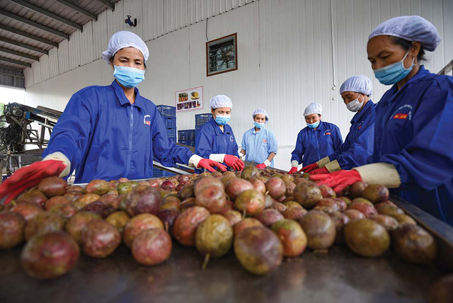 Tăng sức cạnh tranh cho nông sản Việt