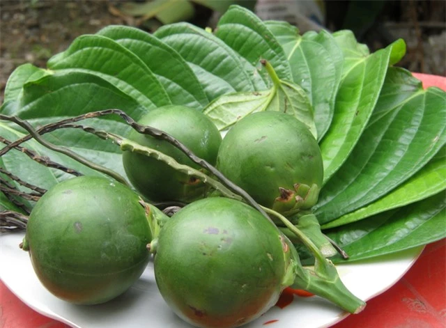 4 loại trái cây không chỉ “phá” nội tạng mà còn chứa “chất kích hoạt” tế bào ung thư, nhiều người đang ăn mỗi ngày mà không biết - Ảnh 4.