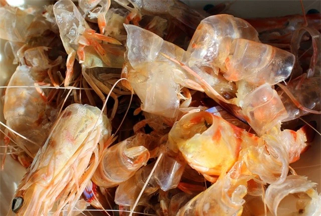 Bất ngờ loại hải sản có thể lấy vỏ làm ‘vũ khí’ bảo vệ môi trường - Việt Nam đang là ‘vua xuất khẩu’ - Ảnh 8.