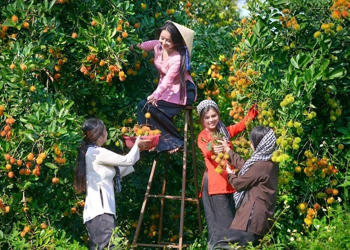 Du khách đến thăm khu du lịch sinh thái và thưởng thức các loại trái cây trong vườn.