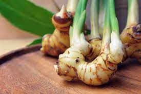 Củ riềng có công dụng tuyệt vời cho sức khỏe