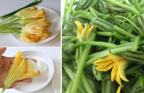 Hoa bí - Thực phẩm vàng cho sức khỏe