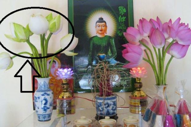 3 loại hoa để trên bàn thờ là mất lộc, ngày Rằm mùng 1 gia chủ nhớ mà tránh