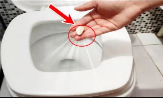 Vì sao nên thả tép tỏi vào bồn cầu: Tưởng lãng phí hóa ra có lợi ích tuyệt vời, nhiều người chưa biết