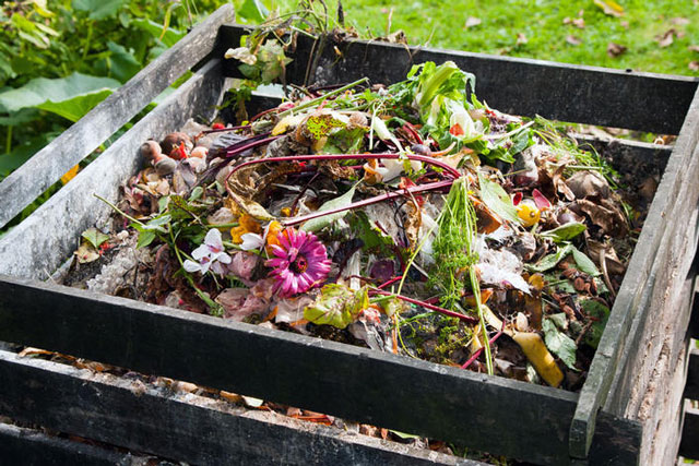 Phế liệu nhà bếp mang đi tái sử dụng ai cũng bất ngờ về lợi ích chúng mang lại