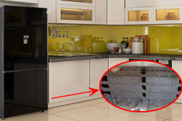 Tủ lạnh có 1 cơ quan nhỏ, 6 tháng làm sạch một lần giúp tiết kiệm rất nhiều tiền điện