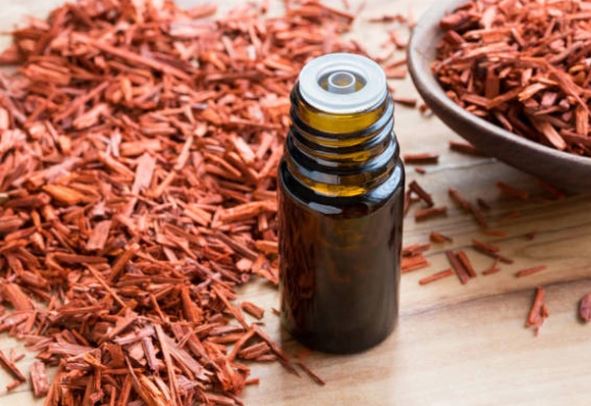 Làn da bạn sẽ rạng ngời tự nhiên khi sử dụng những thực phẩm này