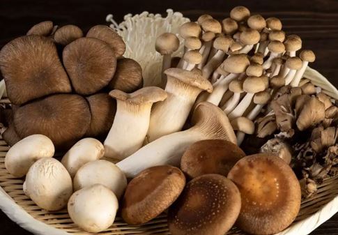 Vitamin B5 có nhiều trong thực phẩm nào?