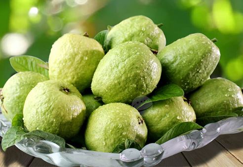 Tại sao ăn ổi giúp tăng cường sức khỏe hệ miễn dịch?