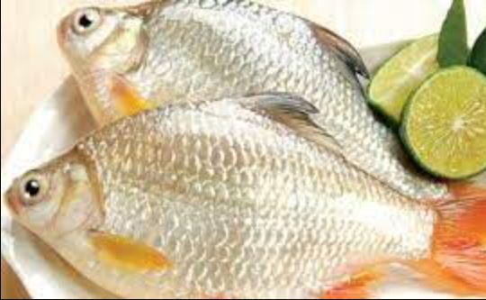 Mẹo giữ cá tươi lâu và luôn thơm ngọt như mới