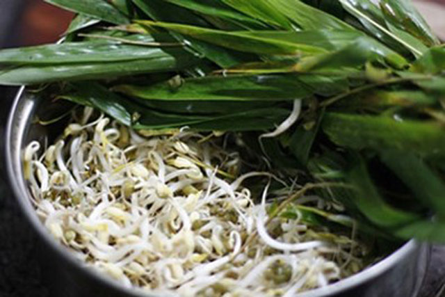 Làm giá đỗ bằng 3 cách đơn giản nhất nhưng thành công nhất