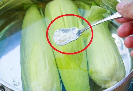 Thả thứ này vào luộc ngô: Từng hạt mềm đẻo ngon ngọt ai cũng thích