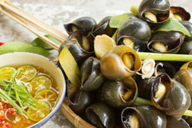 Ốc mua về đừng đem luộc ngay, ngâm nước này ốc nhả sạch bùn nhớt, thêm cách luộc giun sán cũng chẳng còn