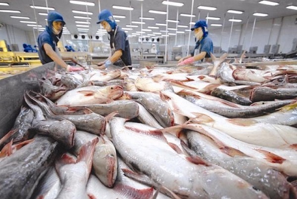 In the first quarter, fish exports were estimated to be worth $1.85 billion USD