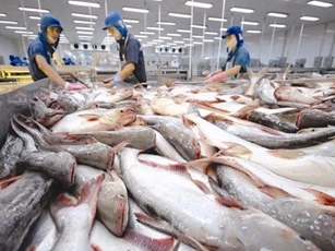 In the first quarter, fish exports were estimated to be worth $1.85 billion USD