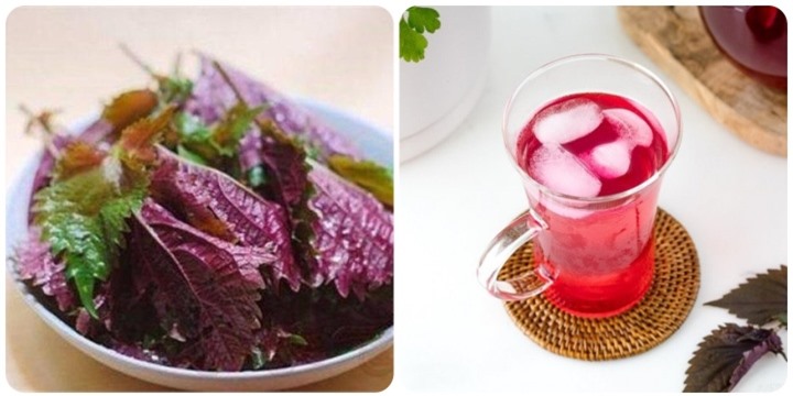 Cách nấu nước lá tía tô uống đẹp da - 1