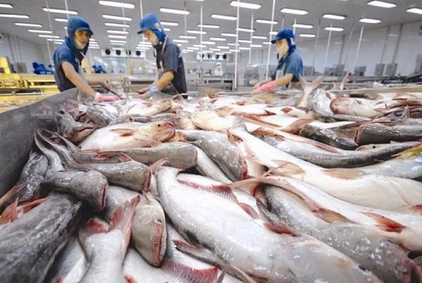 In the first quarter, fish exports were estimated to be worth $1.85 billion USD.