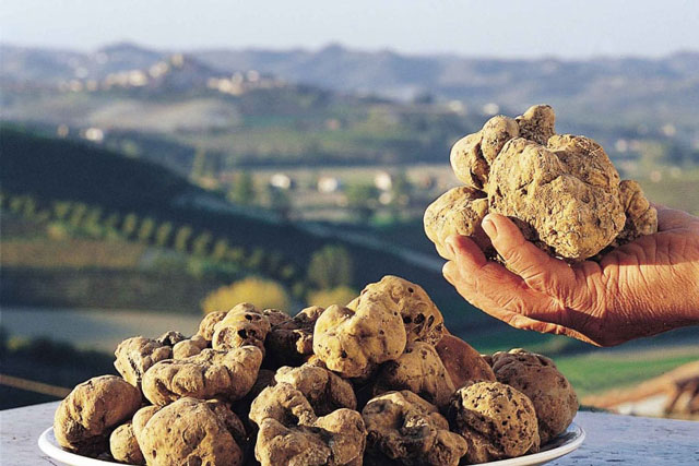 5 loại rau quý hiếm trên thế giới, giá đắt hơn thịt, cực kỳ nhiều dinh dưỡng giới siêu giàu thích ăn