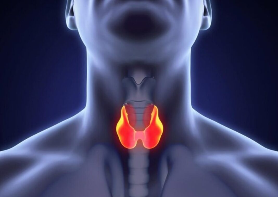 10 dấu hiệu nên nghĩ ngay tới bệnh lý tuyến giáp