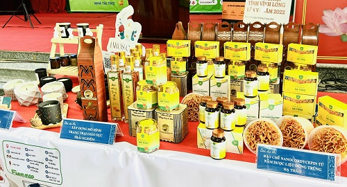 Vĩnh Long phát động cuộc thi tìm kiếm ý tưởng và dự án khởi nghiệp lần thứ VI năm 2023