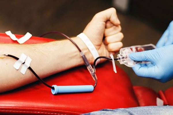 Ngày toàn dân hiến máu tình nguyện 7/4: Hiến máu cứu người là nghĩa cử cao đẹp