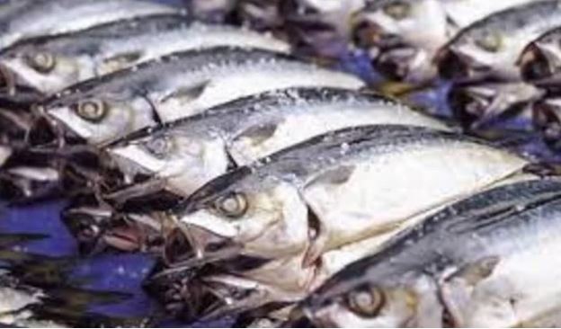 Đây là 4 loại cá "bẩn nhất chợ", người mua nên cân nhắc kỹ trước khi mang về nhà ăn