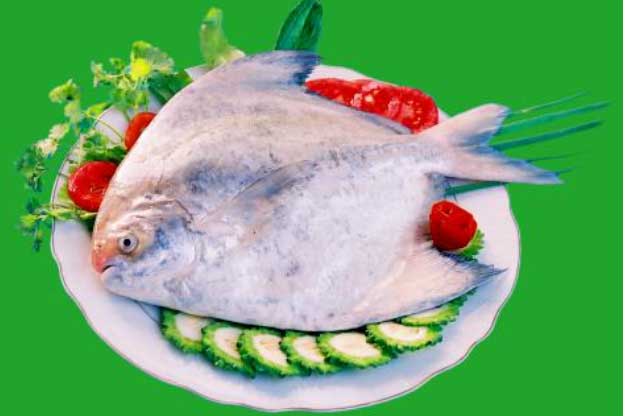 Khoa học công nhận 4 loại cá này ngon - bổ - rẻ còn hơn cả sâm, tốt cho não và tim gấp 10 lần thịt