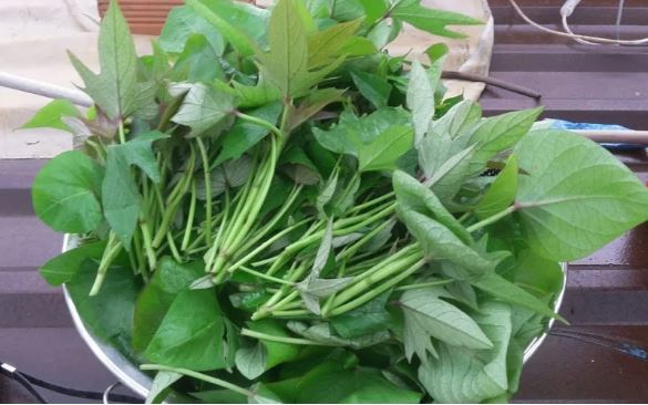 5 loại rau giá rẻ chỉ vài nghìn nhưng rất sạch, giàu dinh dưỡng, còn ngừa K hiệu quả