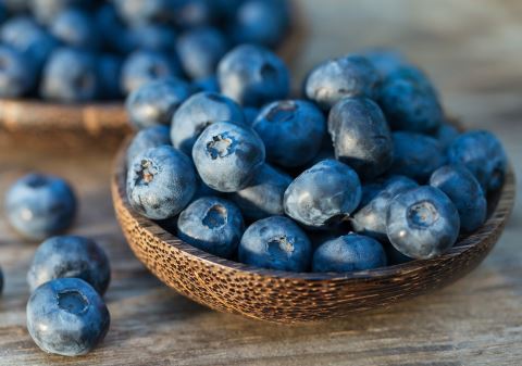 Quả việt quất: "Thần dược" cho sức khỏe