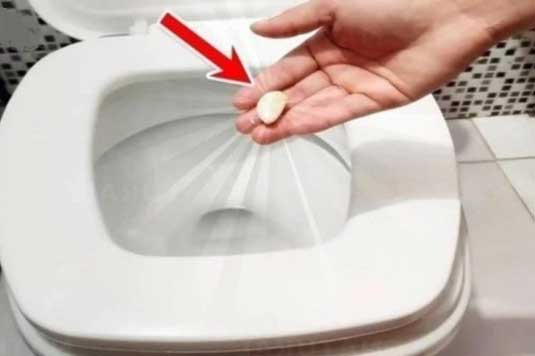 Cho 1 tép tỏi vào bồn cầu: Công dụng tuyệt vời khiến nhiều người kinh ngạc ai biết cũng vội học làm theo