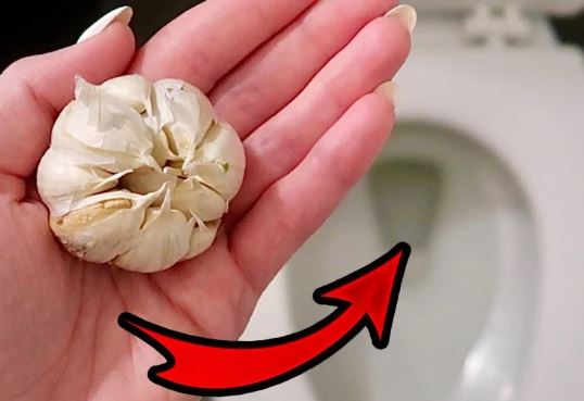 Lấy 1 tép tỏi thả vào bồn cầu ai cũng lắc đầu: Nhưng biết công dụng tất cả đều muốn làm theo