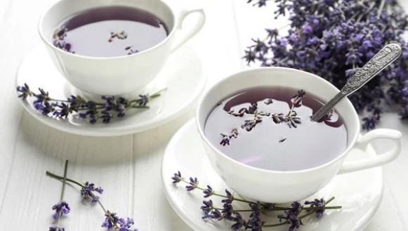 Uống trà oải hương mỗi ngày và nhận lại 7 lợi ích tuyệt vời từ sức khỏe
