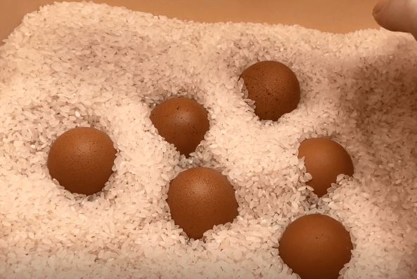 Không cần tủ lạnh, bảo quản trứng theo cách đơn giản này nửa năm cũng không hỏng, trứng ngon giữ nguyên chất dinh dưỡng