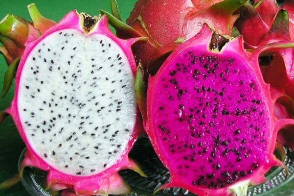 7 loại trái cây nhiều đường, nhiều chất béo không nên ăn vào buổi tối: Vừa dễ mập lại rước bệnh vào thân