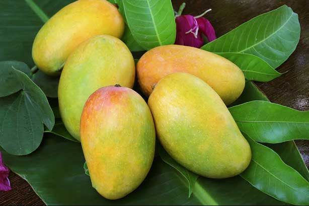 Các loại quả sẽ cản trở quá trình giảm cân của bạn nếu ăn nhiều