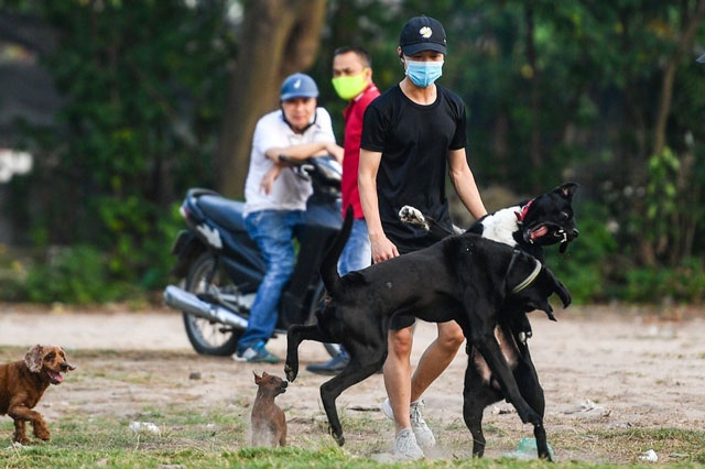Căn bệnh có thể gây chết người lây truyền từ thú cưng