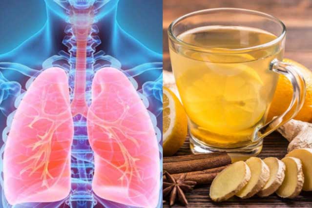 Top 6 lo&#x1EA1;i th&#x1EF1;c ph&#x1EA9;m gi&#xFA;p gi&#x1EA3;i &#x111;&#x1ED9;c v&#xE0; l&#xE0;m s&#x1EA1;ch cho &#x2018;ph&#x1ED5;i&#x2019;, c&#x1A1; th&#x1EC3; kho&#x1EBB; m&#x1EA1;nh m&#x1ED7;i ng&#xE0;y