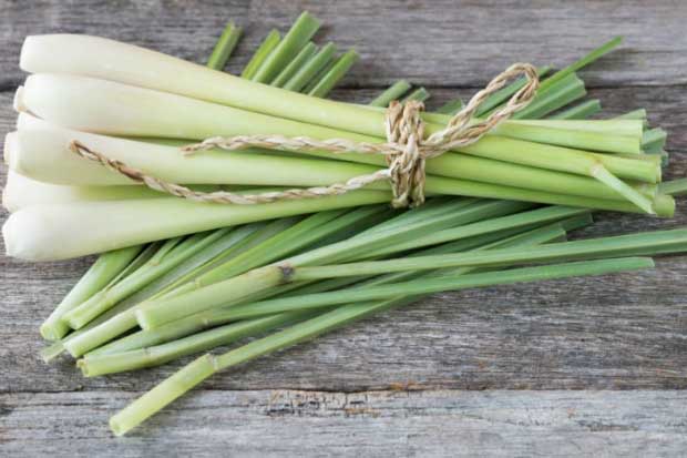 Chỉ 1 nắm sả 5 nghìn đồng bạn sẽ thấy cực kỳ diệu, điều thứ 2 mọi phụ nữ đều cần