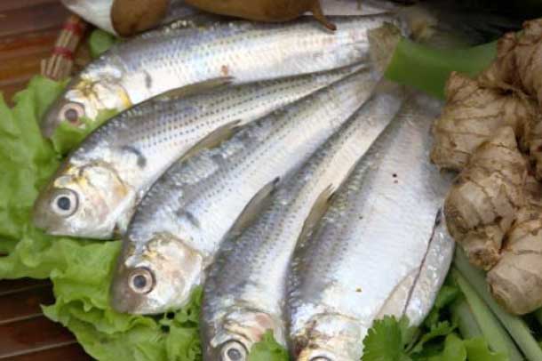 Một món ăn giàu canxi được người Nhật ưa chuộng hơn cả sữa, chợ Việt Nam bán nhiều và rẻ