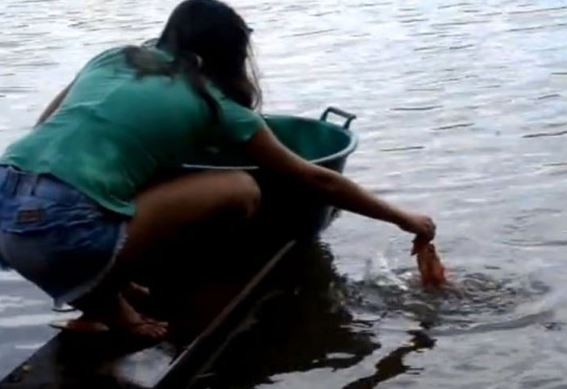 Clip: Màn câu cá piranha “siêu độc” của thiếu nữ Brazil
