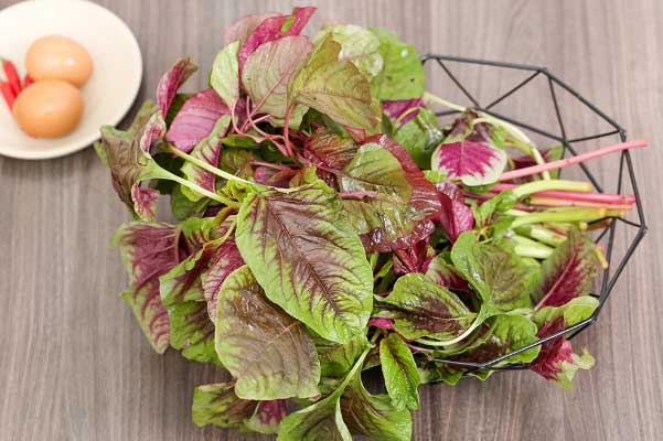 Những loại rau nhiều canxi hơn cả sữa, giúp xương chắc khỏe lại ngừa ung thư