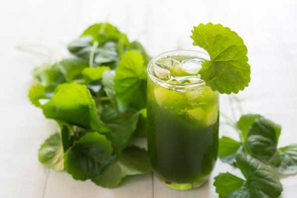 4 loại nước lá tự nhiên rẻ bèo nhưng là thần dược giúp giải độc cơ thể, trị sạch mụn, thâm nám, tàn nhang