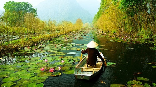 Việt Nam là điểm đến lý tưởng cho khách du lịch